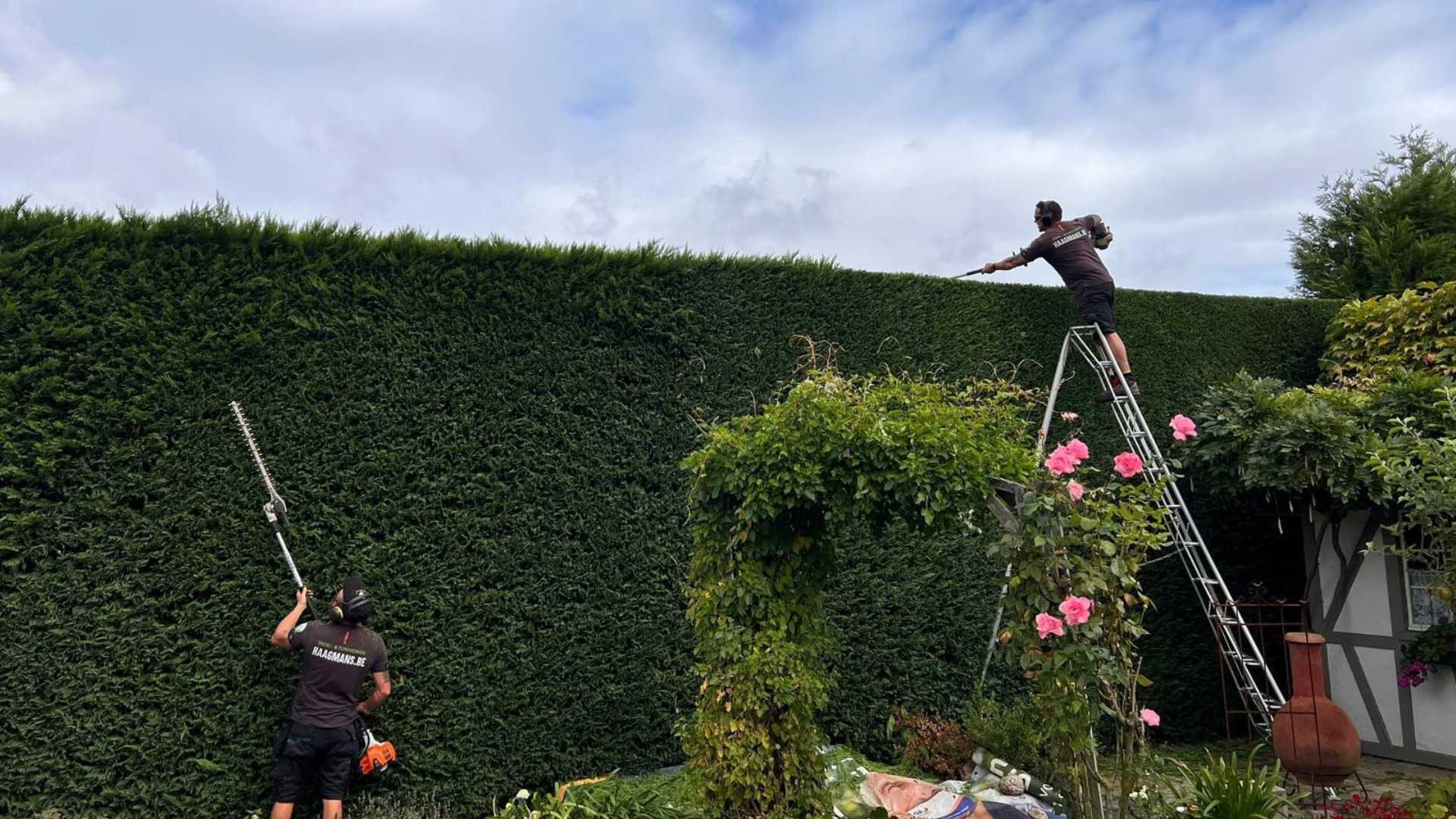tuinonderhoud met vakkennis sint niklaas