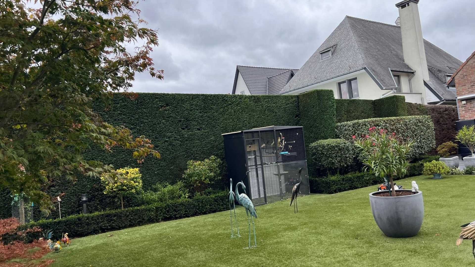 professioneel tuinonderhoud sint niklaas